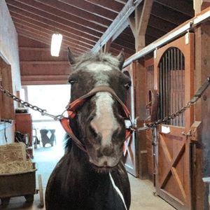 Meet your Posher, Sophia